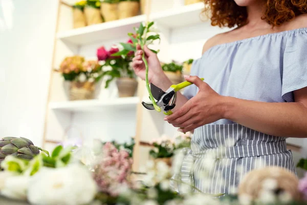 Bahçecilik aletleri. Bir çiçek kesim için kullanılan bir bahçe budayıcı, yakın çekim