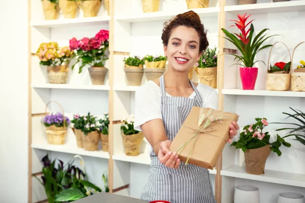 Onun çalışmaları gösteren neşeli usta dekoratör