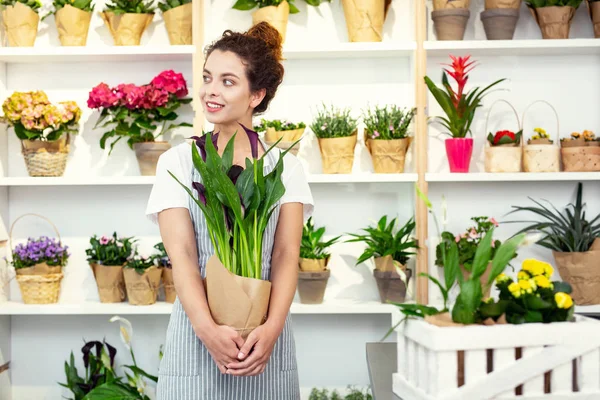 Encantada mujer agradable sosteniendo una planta — Foto de Stock