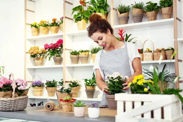 Fabrikada seyir neşeli güzel çiçekçi