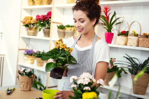 Çalışan memnuniyet profesyonel kadın