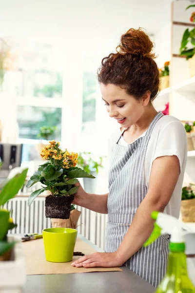 Nice positive woman looking at the flower pot — Stock Photo, Image