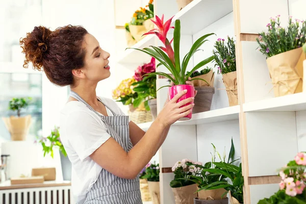Bir houseplant tutan neşeli mutlu kadın