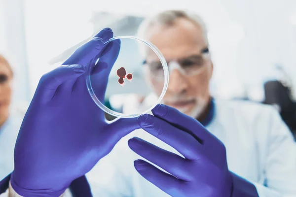 Cientista sério examinando amostra de sangue — Fotografia de Stock