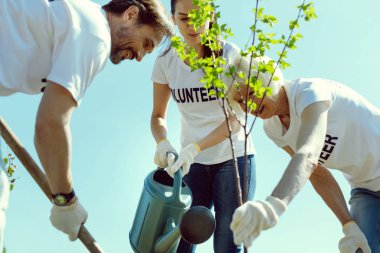 Genç bitki sulama özenli esmer kadın