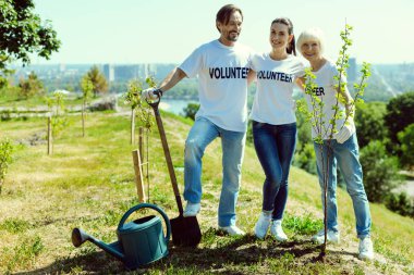 Grup gönüllü yeni bitkiler ayakta