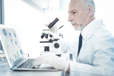 Dizüstü bilgisayar ekranına bakarak profesyonel deneyimli araştırmacı