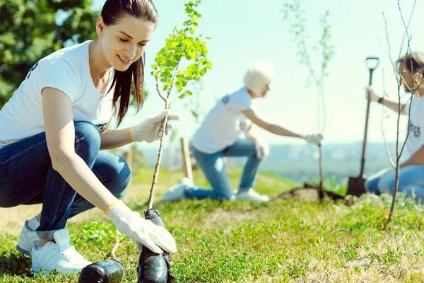 Mujer morena alegre mirando a la planta — Foto de Stock