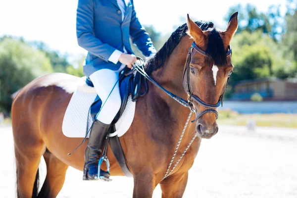 Hombre disfrutando de montar a caballo hacerlo en buen día cálido verano — Foto de Stock