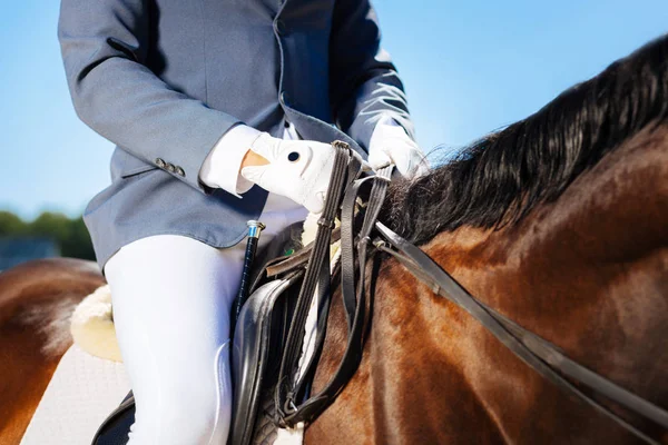 Jeune équestre habile portant des gants bleus assis sur le cheval — Photo