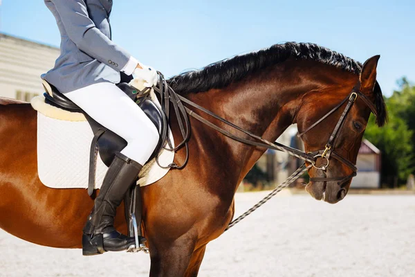 Nazik adam mavi eldiven ve siyah botlar at binme