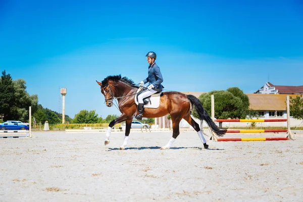 Prometedor ecuestre montar su caballo marrón muy rápido — Foto de Stock