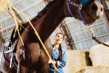 Onun yarış atı besleme uzun siyah saçlı Genç binici kadın