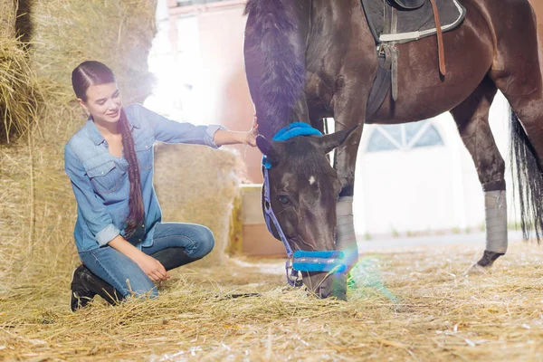 Horsewoman φορώντας τζιν ρούχα χάιδεμα όμορφη σκοτεινό άλογο — Φωτογραφία Αρχείου