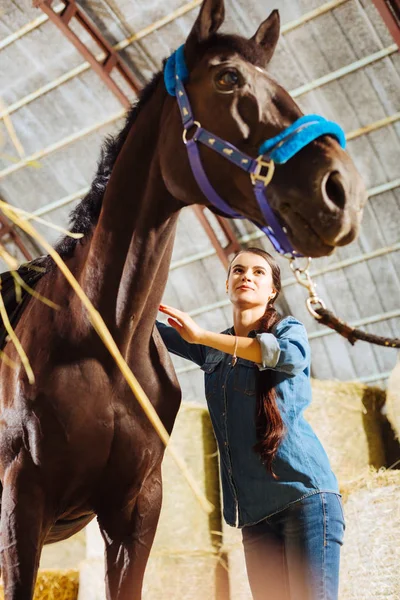 Horsewoman χαμογελώντας γενικές γραμμές, ενώ τον καθαρισμό της μεγάλο σκοτεινό άλογο — Φωτογραφία Αρχείου
