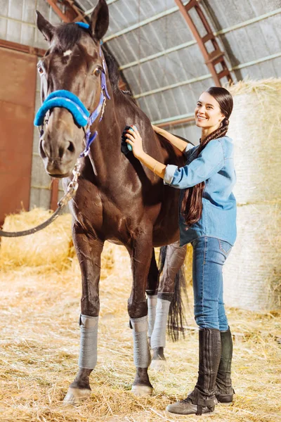 Ευτυχισμένος horsewoman στέκεται σε μεγάλο σταθερό και καθαρισμός αλόγου — Φωτογραφία Αρχείου