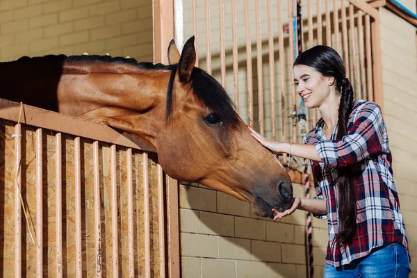 Νέοι horsewoman στέκεται σε σταθερή και χάιδεμα σκοτεινό άλογο — Φωτογραφία Αρχείου