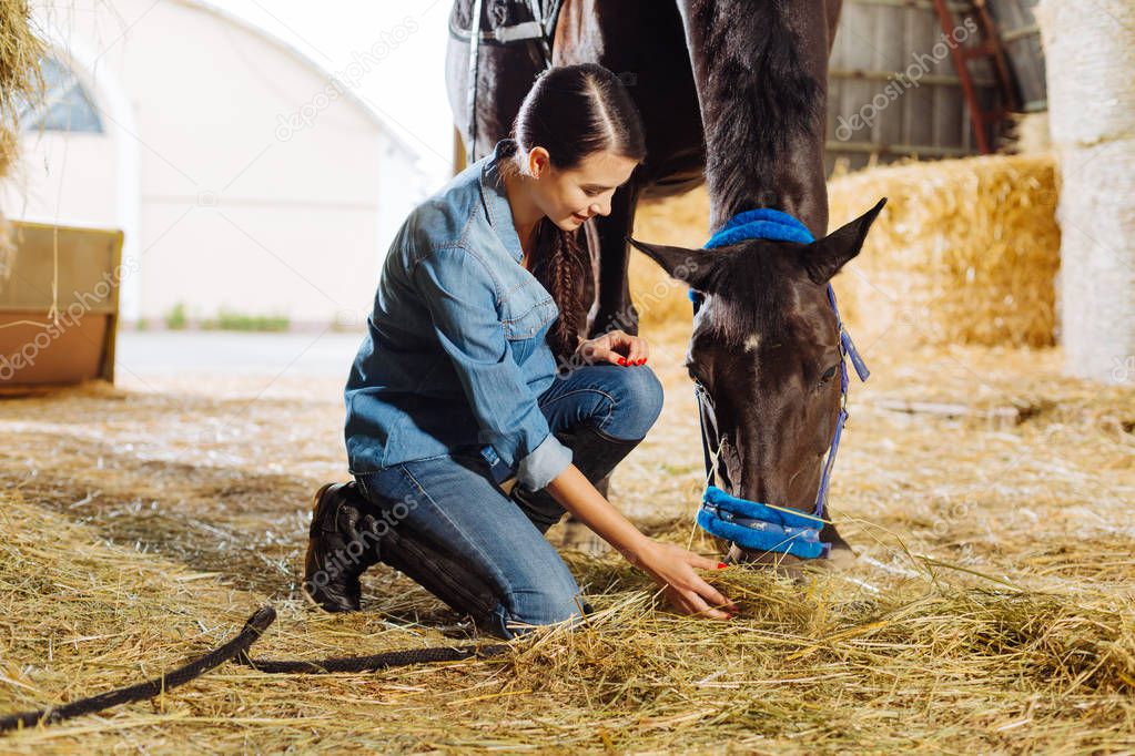 Beautiful horsewoman feeding brown horse with some straw