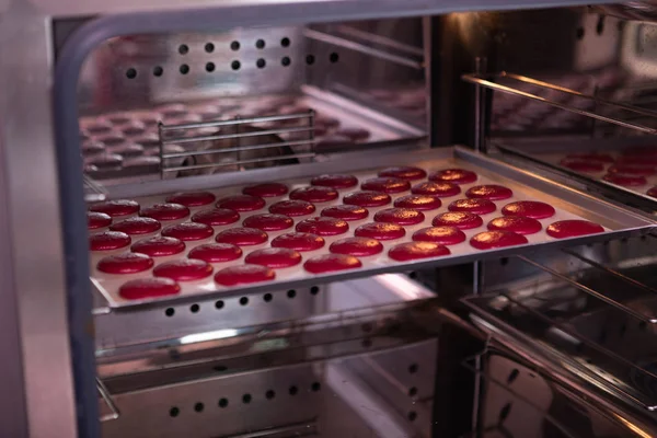 Güzel küçük pembe macaroons fırında ayakta — Stok fotoğraf