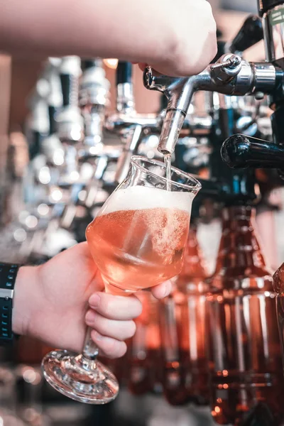 Mladí profesionální barman plnění sklenic klientů s craft beer — Stock fotografie