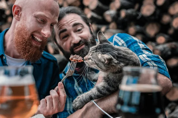 Deux hommes drôles donnant un morceau de viande mignon petit chat — Photo