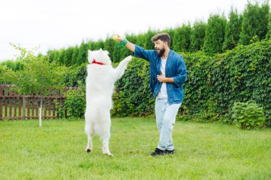 Husky ile hafta sonu harcama yaparken yakışıklı adam duygu contended