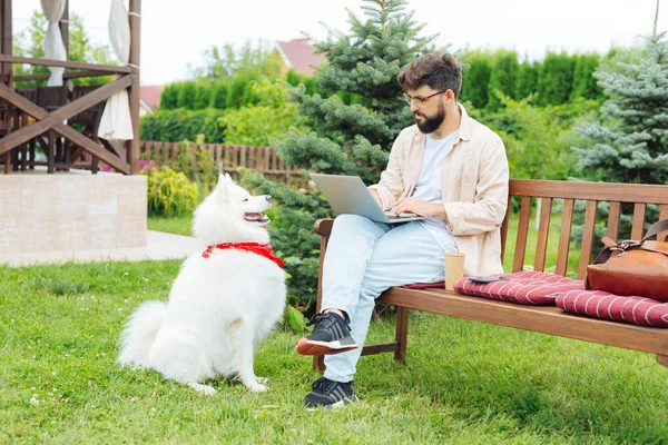 -Haired freelancer czytanie listów biznesowych, siedzi w pobliżu pies — Zdjęcie stockowe