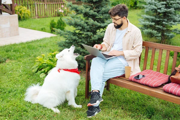 Lindo perro divertido mirando a su dueño trabajando fuera de la casa de verano — Foto de Stock