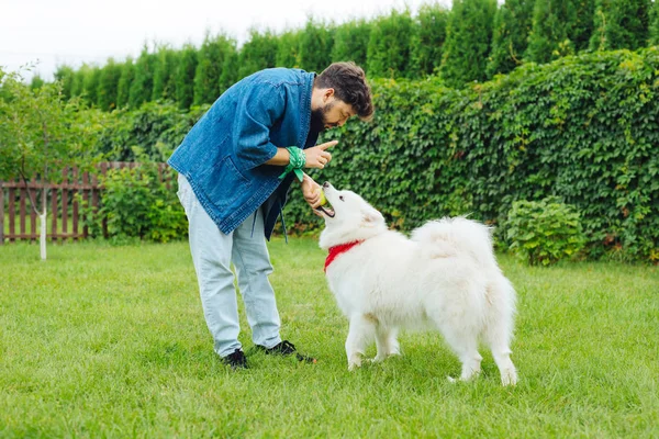 Cuidando propietario de husky blanco calmando a su linda mascota — Foto de Stock