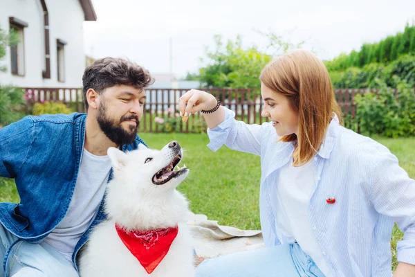 Sorridente bella donna dando poco nocciola il suo husky bianco — Foto Stock