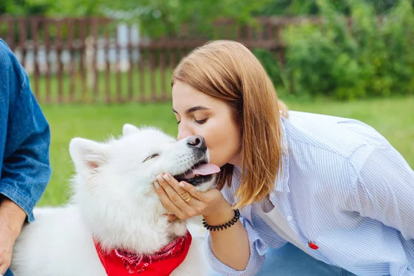 Cura donna accattivante toccando il suo carino husky soffice — Foto Stock