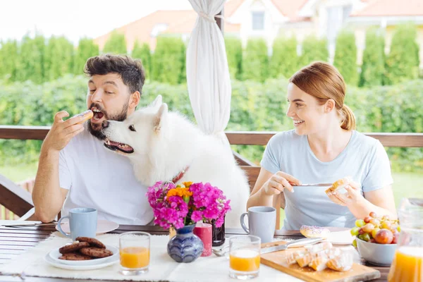 Pareja feliz desayunando en la terraza de verano con su perro — Foto de Stock
