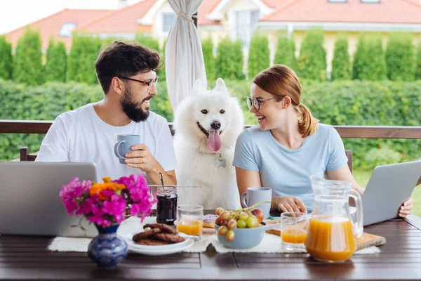 Unga företagare arbetar medan du äter frukost tillsammans — Stockfoto