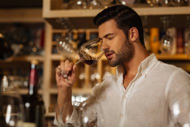 Şarap tadı çalışan neşeli yakışıklı adam