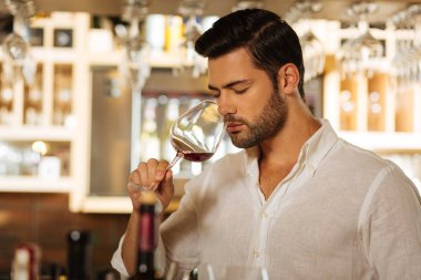 Attractive good looking man smelling the wine clipart