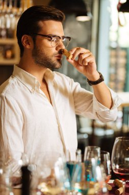 Bir şişe şarap cork tutarak akıllı güzel adam