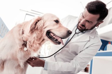 Yetkili Doktor hastasına sinyal kontrol