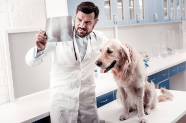 Pozitif tıbbi işçi ROENTGEN arıyorsunuz