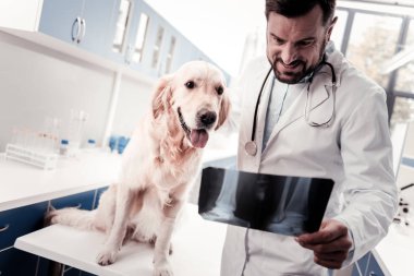 Mutlu adam iyi sonuç arıyorum