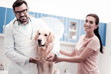 Dost Labrador dolapta sakin duran