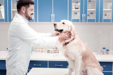 Çok sessiz olmak üzgün köpek