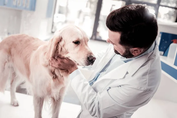 Attentive bearded man looking at big dog — Stock Photo, Image