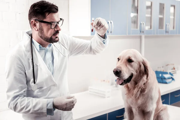 Veterinário sério a olhar para o tubo de ensaio — Fotografia de Stock