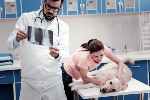 Mooie brunette meisje omarmen haar hond — Stockfoto