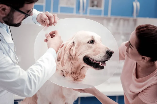 Funny dog looking at his pretty owner — Stock Photo, Image