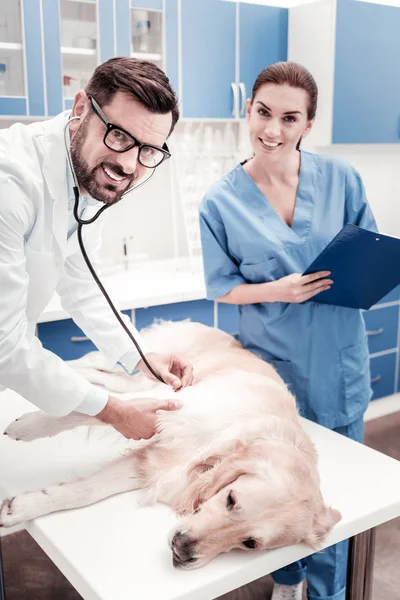 Pleased brunette female helping her colleague — Stock Photo, Image