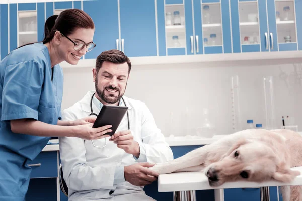 Trabalhador médico encantado positivo olhando para tablet — Fotografia de Stock