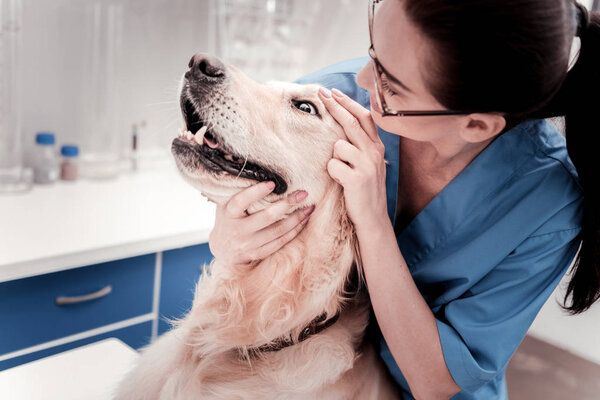 Sick dog keeping mouth and eyes wide opened