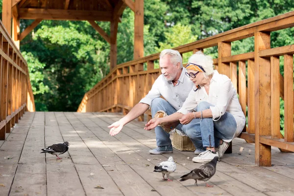 Kedves idősebb ember ül a hídon, és a galambok takarmányozása — Stock Fotó