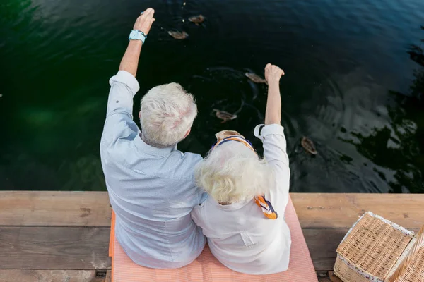 Laskavý starší pár uvedení ruce nahoru a krmení kachen — Stock fotografie